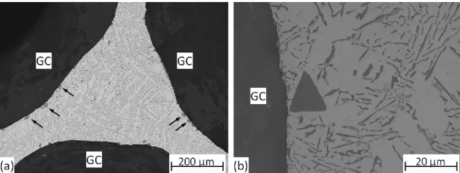 Fig. 5. Micrographs of an AlSi12 matrix sample 