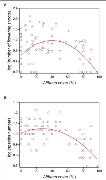 FIGURE 1 | Effect of the unpalatable Althaea officinalis on understory species performance measures (represented in log format): (A) number of flowering shoots and (B) species number in the 0.5 m × 0.5 m plots.