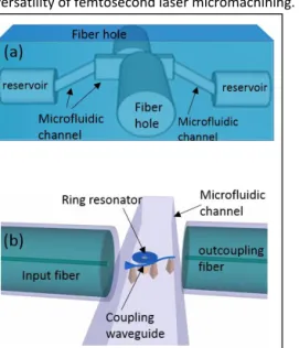 Figure 1. Schematic view of: (a) the glass microfluidic chip,  with  the  lateral  fluid  reservoirs  connected  to  the  central  microfluidic channel, and the two big perpendicular tunnels  to  fit  the  optical  fibers;  (b)  detail  of  the  WGM  biose