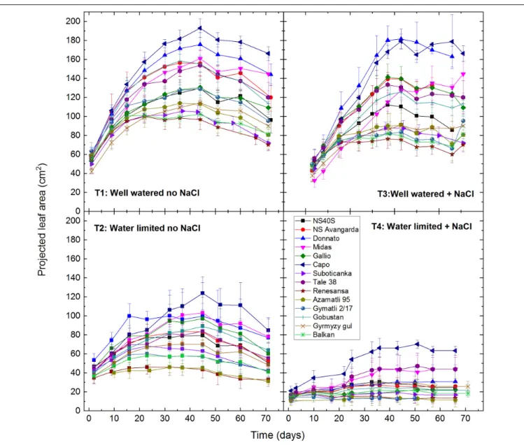 FIGURE 1 | Effect of drought and salt stress on projected leaf area of wheat plants. Digital RGB imaging was used to determine projected green leaf/shoot area of individual plants of the selected 14 cultivars under well watered (T1: 60% soil water capacity