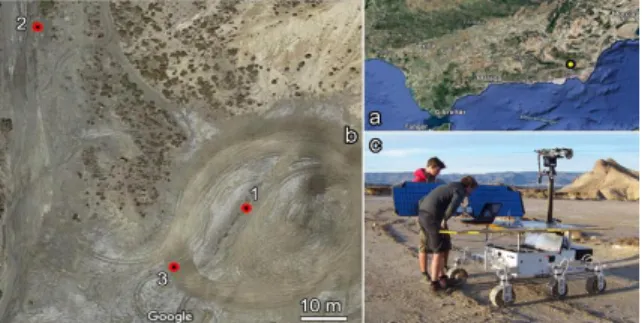 Figure 2. Mosaic of the Tabernas 1 site. 