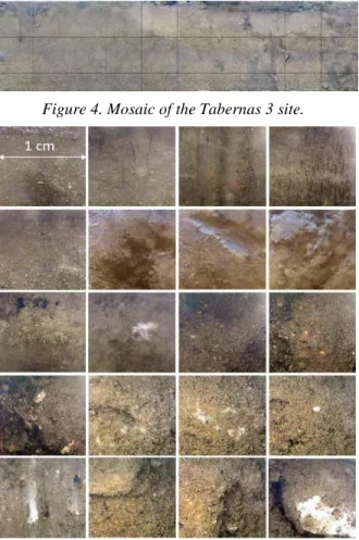 Figure 4. Mosaic of the Tabernas 3 site. 