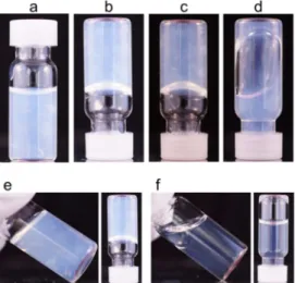 Figure  4.  PIB 23 -IL-PEtOx 10   hydrogel  before  (a)  and  immediately  (b),  2.5  hours  (c),  and  24  hours  (d)  after  tube  inversion