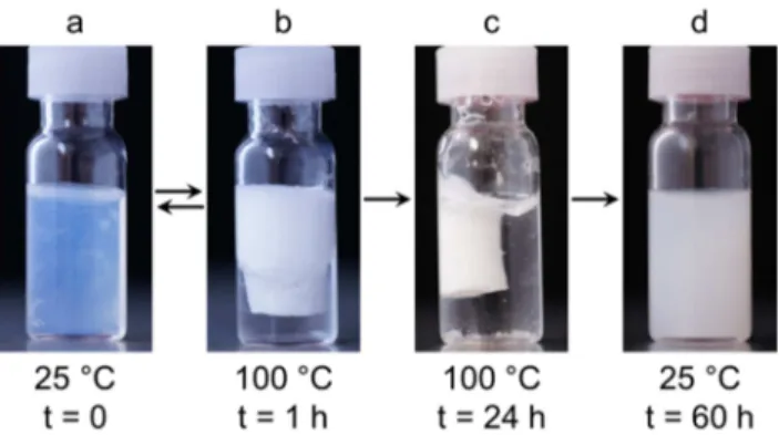 Figure  7:  PIB 23 -IL-PEtOx 10   hydrogel  at  room  temperature  (a),  situation  at  100  °C  after  heating  for  1  hour  (b),  situation  at  100  °C  after  heating  for  24  hours  (c),  and  low-viscosity  polymer dispersion obtained after heating