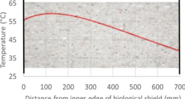 Fig. 4. Temperature distribution in concrete biological shield in operation. 