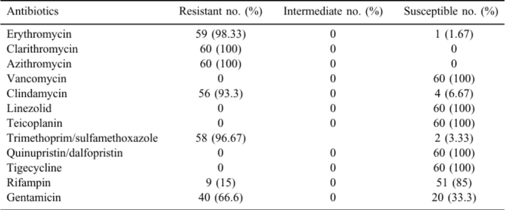 Table II. Prevalence of resistance to the tested antibiotics among MRSA isolates using the disk diffusion and t-test methods