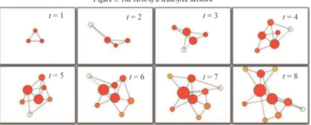 Figure 3. The birth of a scale-free network 