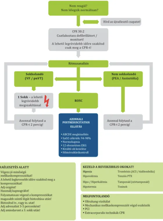 1. ábra Az emelt szintű újraélesztés (ALS, advanced life support) univerzális algoritmusa az ERC 2015