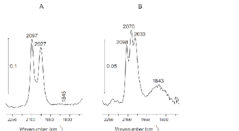 Figure 9. FTIR spectra of adsorbed CO at 300 K: (A) 1% Rh/TiONW and (B) 0.5% Au + 0.5% 