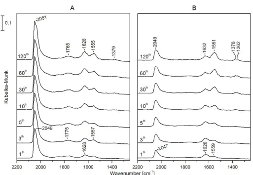 Figure 12. Infrared  spectra  registered  during  CO 2  +  H 2   reaction  at  493  K  on  Rh/NW  (A)  and  Au-Rh/NW (B) in the different minutes of the reaction