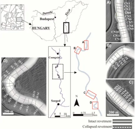 Figure 1. The banks of the Lower Tisza River (Hungary) were studied in detail between Csongrád and Szeged (78 km-long section)