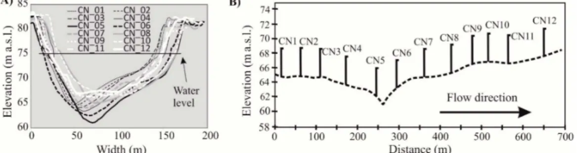 Figure 5. Cross-sectional channel profiles (A) and longitudinal thalweg profile (B) at the Csanytelek North study site.