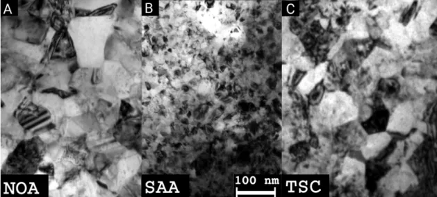 Figure 3. TEM images taken on samples NOA (A), SAA (B), and TSC (C) before heat treatments.