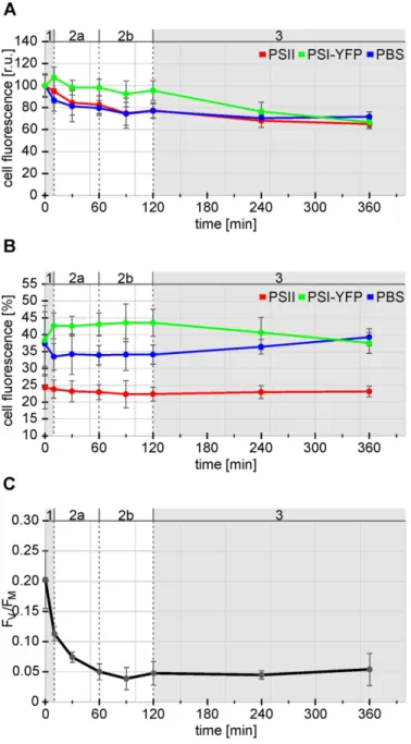 Figure 2. Comparison of relative fluorescence intensity of cells with maxima quantum yield of PSII  photochemistry (FV/FM)