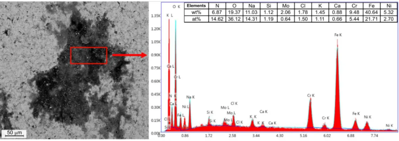 Figure 3.  Analysed points of the corroded part of the sample 