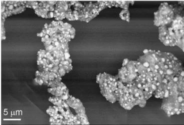 Figure  6.  Backscattered  SEM  image  of  I-300  (Ag/manganese  oxides).