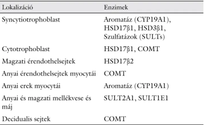 2. ábra A természetes ösztrogének összkoncentráció-változása a várandósság különböző szakaszaiban1