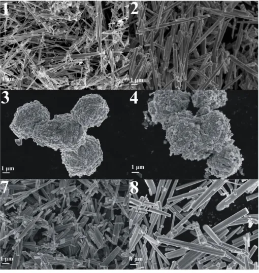 Figure 2. T. Nagyné-Kovács et al. 