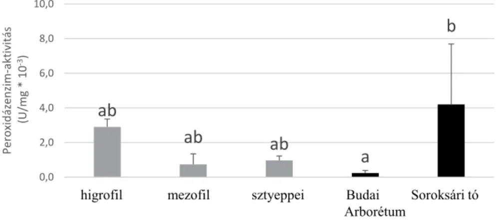 4. ábra. A peroxidázenzim-aktivitás összesített értékei állományonként. A szóráspálcikák ±1  szórást mutatnak, az eltérő kisbetűk az oszlopok felett szignifi káns különbséget jeleznek (p &lt; 0,05).