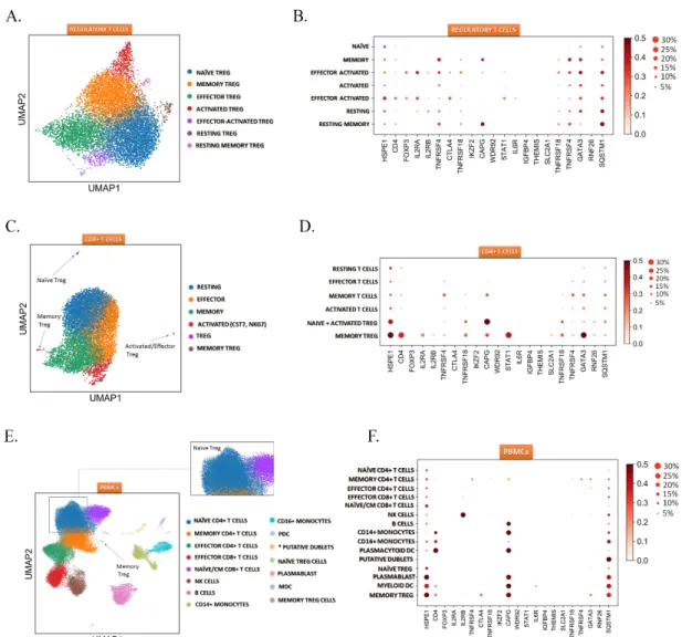 Figure 4. Regulatory T cell heterogeneity revealed by single cell transcriptomics. (A) UMAP clustering  of T reg  cells subsets