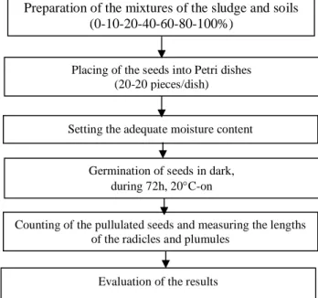 Fig. 1. Steps of the seedling growth test 