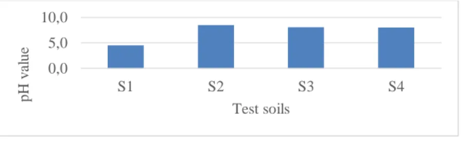 Fig. 3. The ratio of the pullulated seeds on the mixtures of converter sludge and soils 