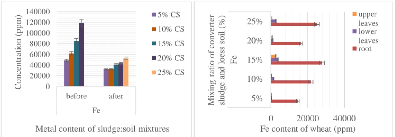 Fig. 10. Fe content of the soil-sludge mixtures and the main parts of the wheat samples 