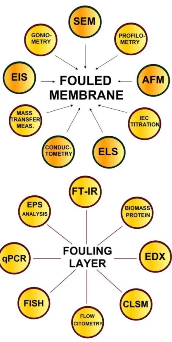 Fig. 2 – Summary of membrane and fouling layer characterization methods. 
