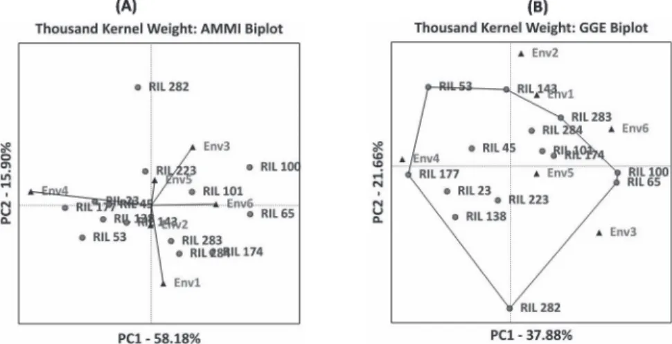 Figure 3. AMMI and GGE biplots for thousand kernel weight in the top five percent of RILs