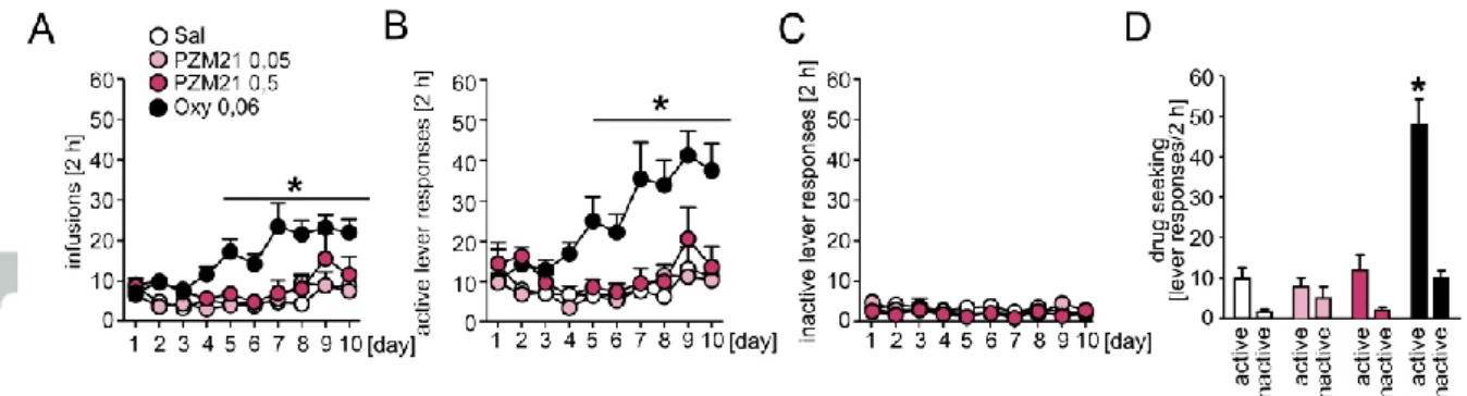 Fig. 3 Evaluation of PZM21 effects on intravenous self-administration in rats.  [A] Rats that  self-administered oxycodone (0.06 mg·kg -1  per infusion, i.v.), but not PZM21 (0.05 and 0.5  mg·kg -1  per infusion, i.v.), presented an increasing number of in