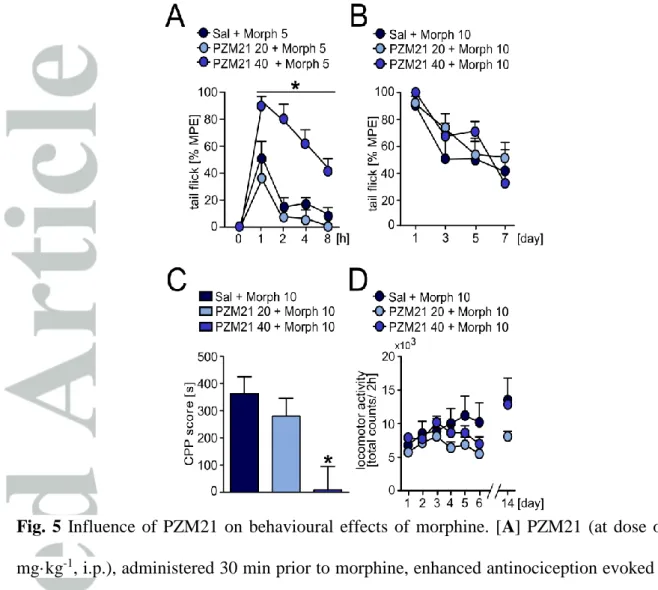 Fig.  5  Influence  of  PZM21  on  behavioural  effects  of  morphine.  [A]  PZM21  (at  dose  of  40  mg·kg -1 , i.p.), administered 30 min prior to morphine, enhanced antinociception evoked by 5  mg·kg -1  of morphine (i.p.) in the tail flick test