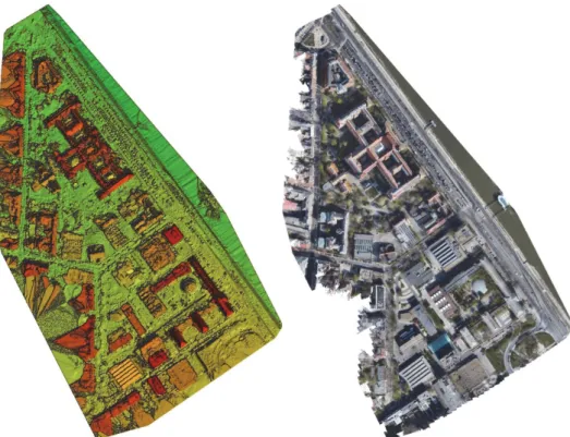 Fig. 7. False-color Digital Surface Model and orthophoto mosaic for the covered area. 