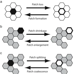 Figure 2.  Examples of elementary local events affecting habitat patches on a hexagonal lattice