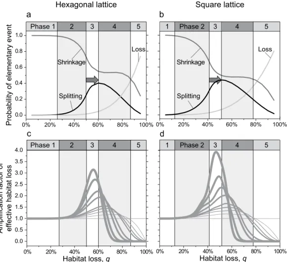 Figure 3.  Probabilities of elementary local events affecting habitat patches on a (a) hexagonal lattice and   (b) square lattice, together with the corresponding amplification factors of effective habitat loss on a  