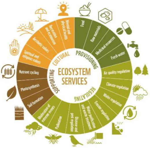 Figure 1. Ecosystem services (WWF, 2016) 