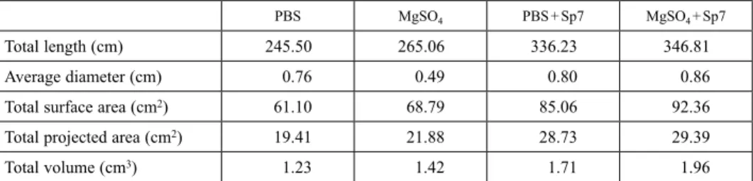 Table 1. WinRHIZO ®  root values for four inoculation treatments in maize seedlings