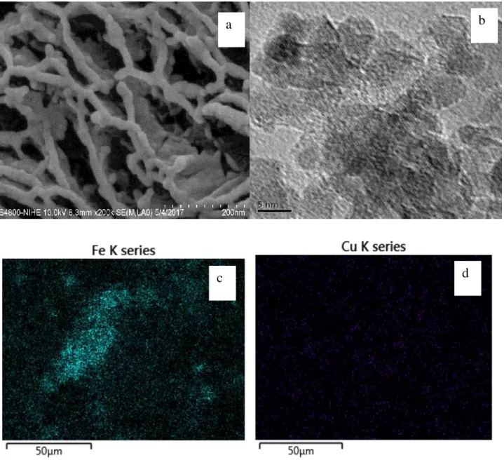 Figure 4. SEM (a) and TEM (b) images and EDX mapping maping (c, d) of the Cu-Fe/GO composite 