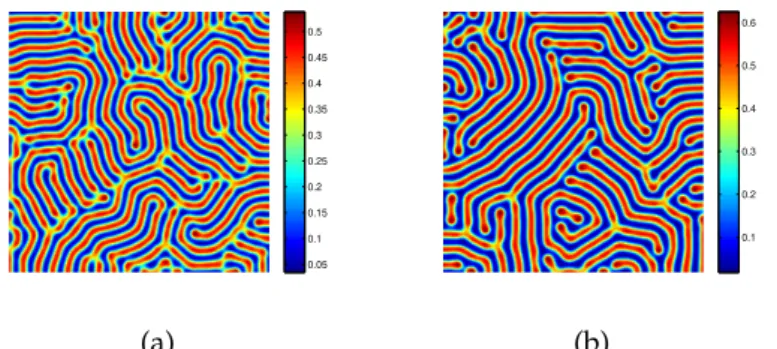 Figure 3.6: Stripe pattern of u in the model (3.1).