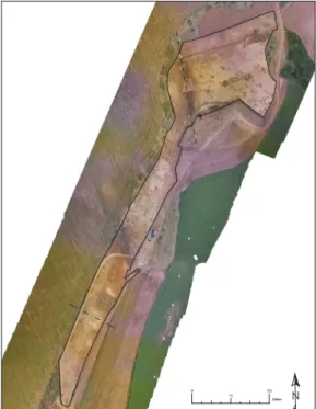 Fig. 2. Orthophoto of the site
