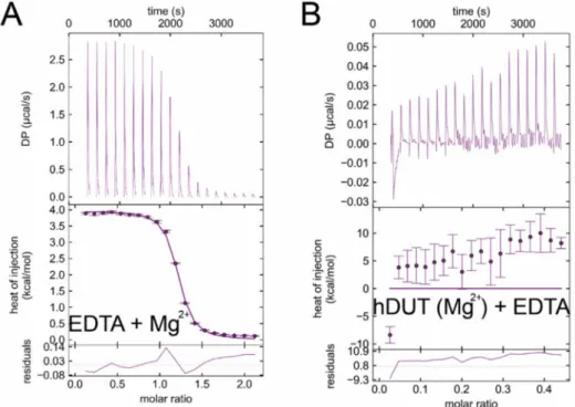 Figure 7. Control ITC measurements. (A) ITC titration of EDTA with MgCl 2 . (B) ITC titration of hDUT with additional 5 mM MgCl 2 in the buffer with EDTA