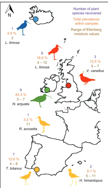 Figure  1. Summary of study locations and shorebird species,  together with the number of plant species recorded in each study  population, the prevalence of intact plant diaspores in excreta  samples, and the habitat requirements of plant species (Ellenbe