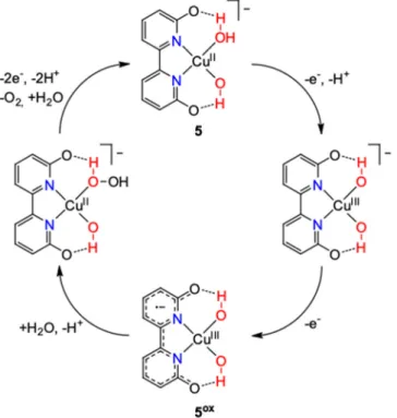 Figure 7. The most probable pathway of catalysis by 5 [31]. 