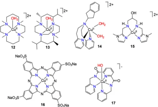 Figure 9. Schematic structure of various single-site catalysts. 