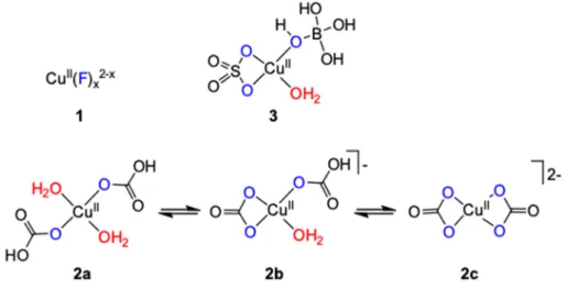 Figure 2. Cu-based molecular WOCs with inorganic ligands. 