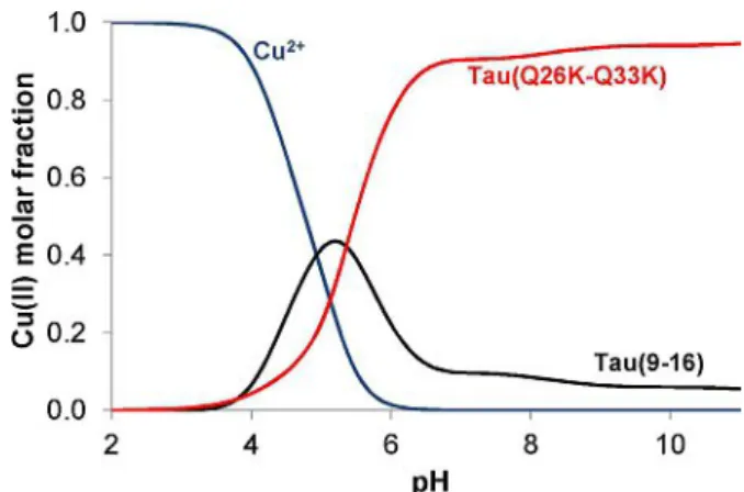Figure 3. Concentration distribution of copper(II) ion in a model system containing copper(II) and the peptides Tau(9-16) and Tau(Q26K-Q33K) mutants in equimolar concentration (c =1 mM).