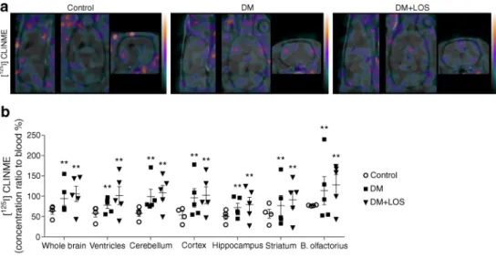 Fig. 3 Losartan mitigates proinflammatory cytokine responses in diabetic rats. Neuroinflammation was assessed by various methods in control (non-diabetic), vehicle-treated diabetic rats (DM) and losartan-treated  di-abetic rats (DM+LOS)