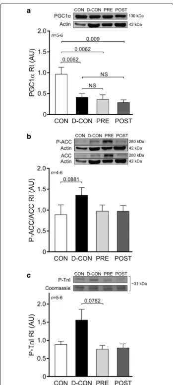 Fig. 8  Biochemical measurements of proteins. A significantly  decreased level of PGC1α was detected in the DOX-treated animals,  irrespective of any treatment applied (a)