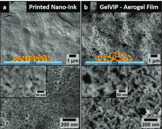 Figure 2b illustrates SEM images of a 3D CdSe/CdS aerogel  network film fabricated by gelation via inkjet printing (GelVIP)