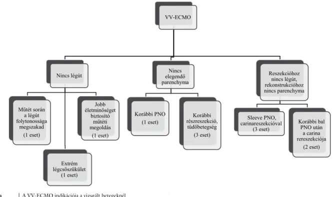 1. ábra A VV-ECMO indikációja a vizsgált betegeknél
