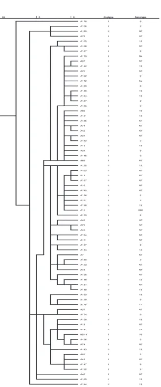 Fig. 3. Dendrogram based on the metabolic fingerprint of 74 Actinobacillus pleuropneumoniae  strains
